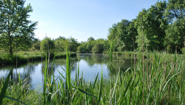 Nos engagements vers un tourisme durable